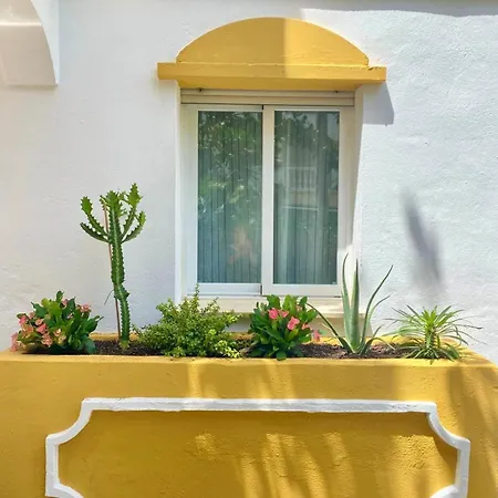 Designed In Apartment *