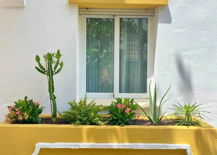 Designed In Apartmán *